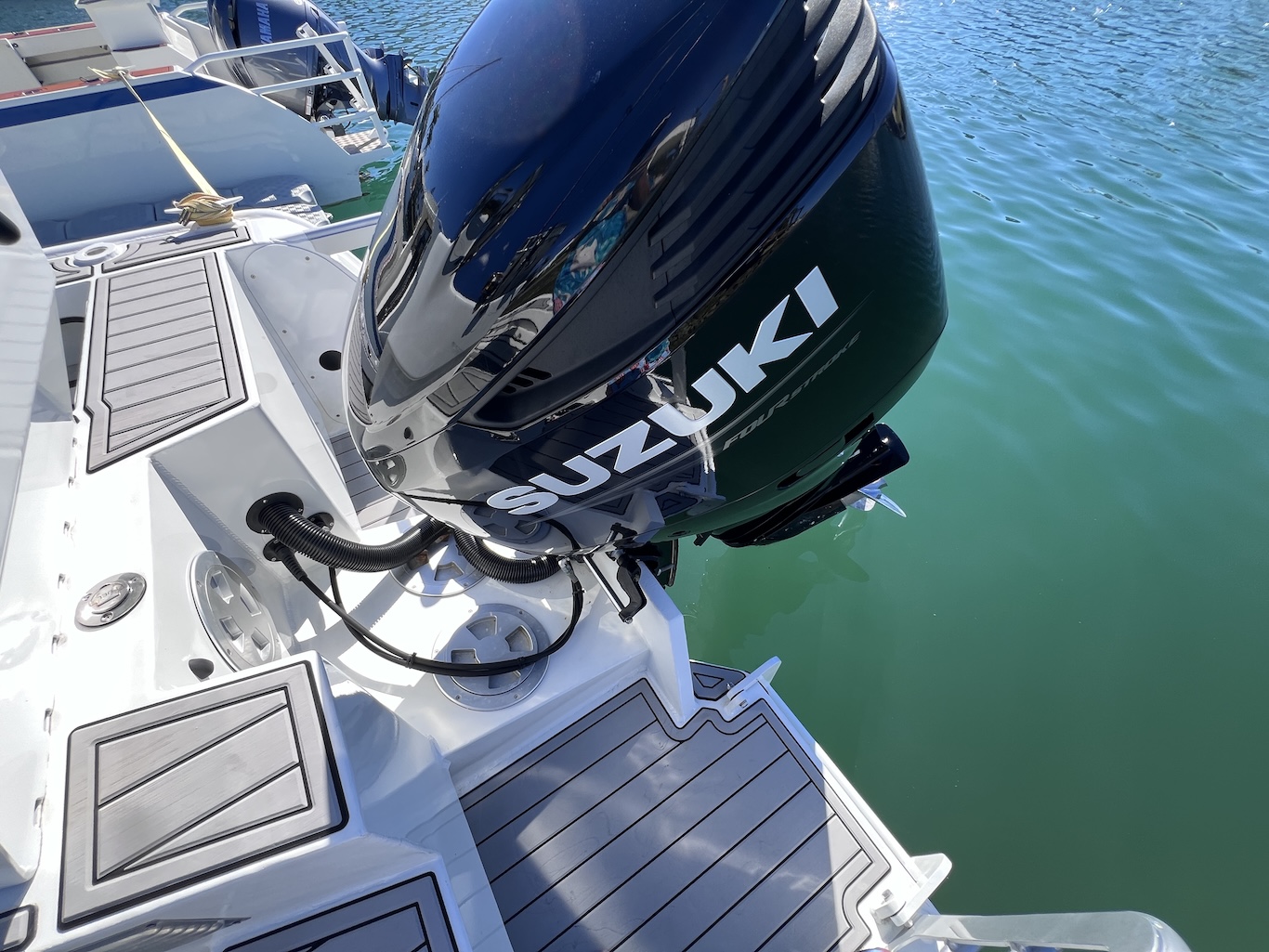 CJS_Shark_720_16